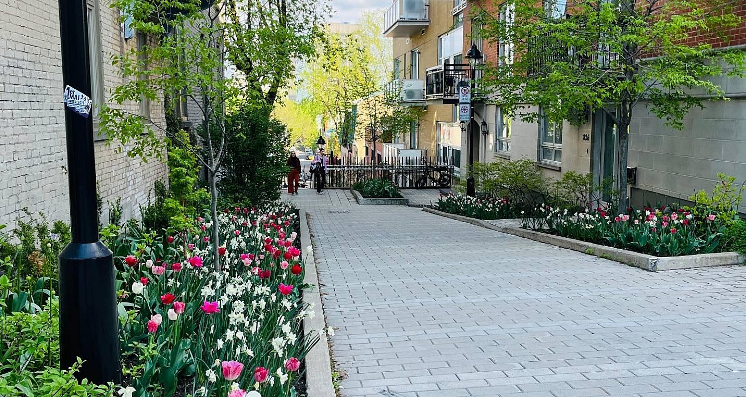 Rue Sherbrooke E.